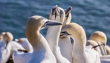 兴安盟伴游，定制QQ：3494206190微信：act1322